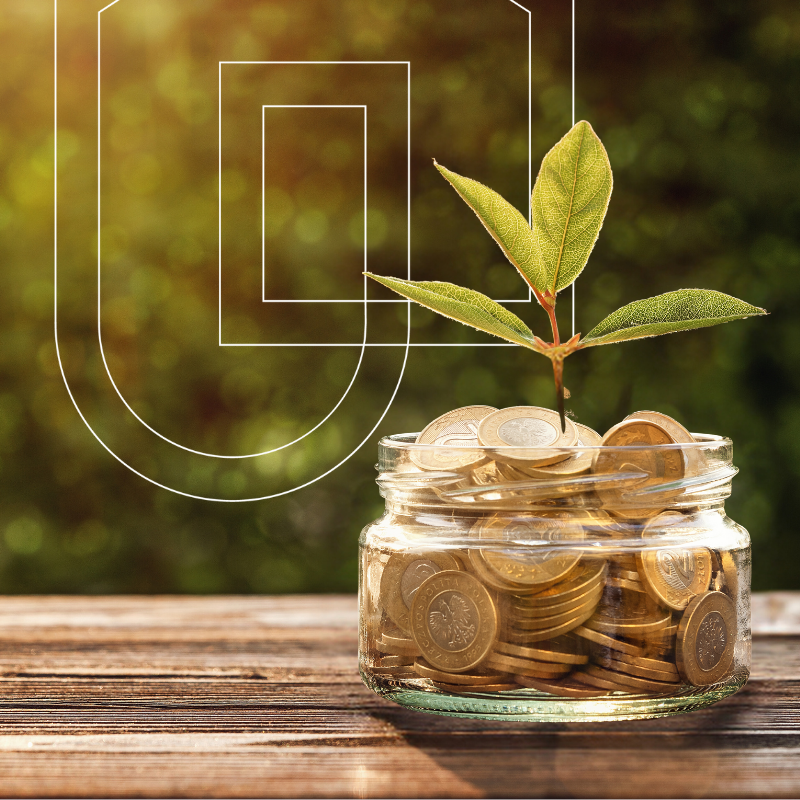 Pot en verre avec des pièces de monnaie à l'intérieur et une plante qui pousse dans l'argent